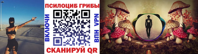 Псилоцибиновые грибы GOLDEN TEACHER  Кизляр 