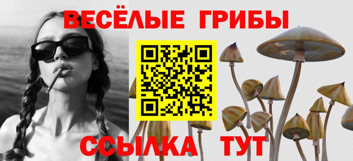 Кизляр  Галлюциногенные грибы MAGIC MUSHROOMS  Вход с VPN 