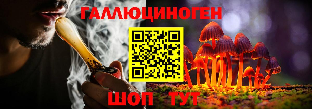 Псилоцибиновые грибы мицелий Кизляр