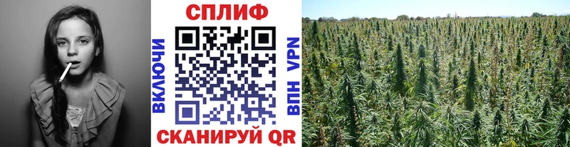 МАРИХУАНА LSD WEED  Кизляр 